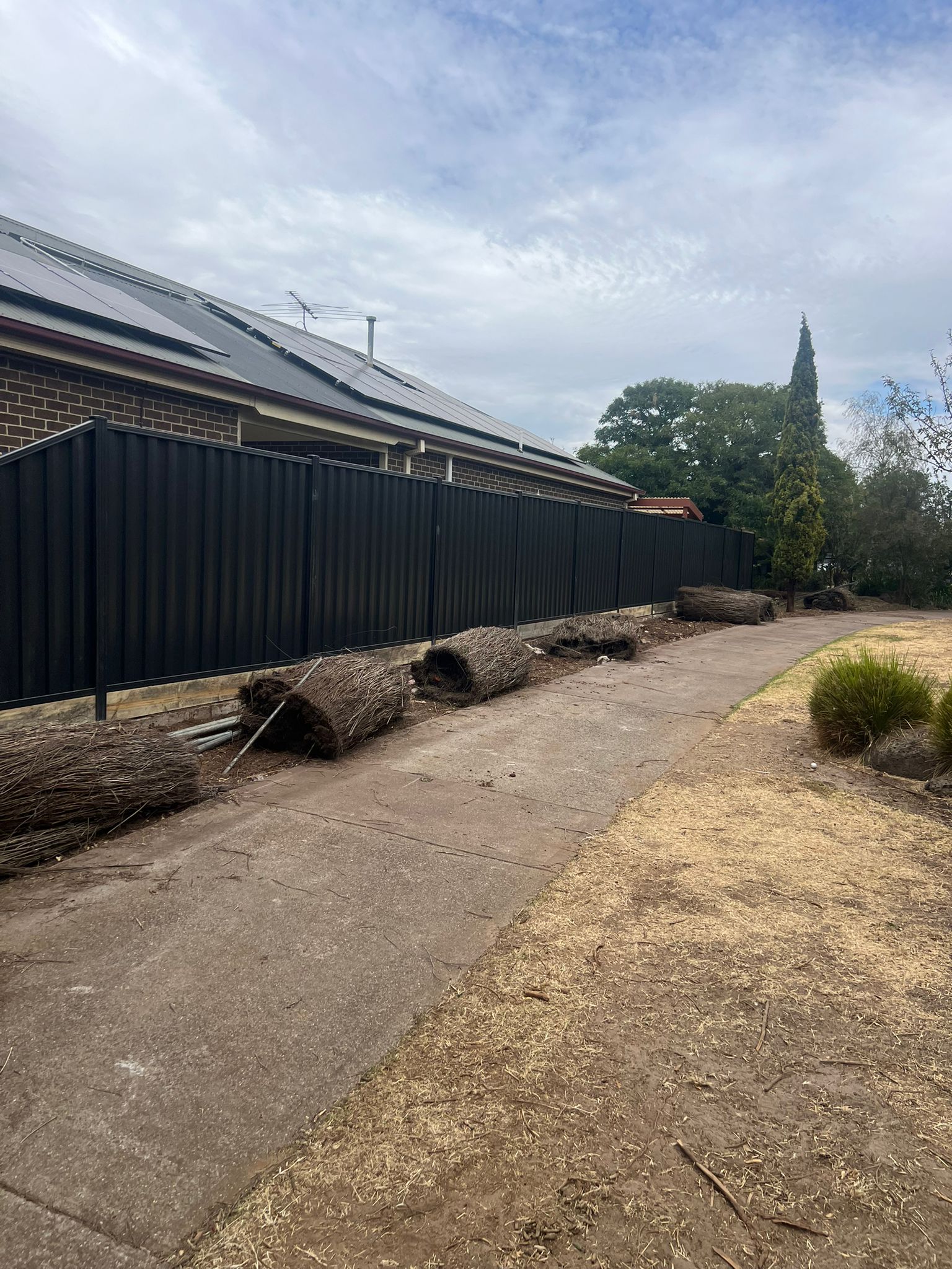 New Colorbond fence, Epping
