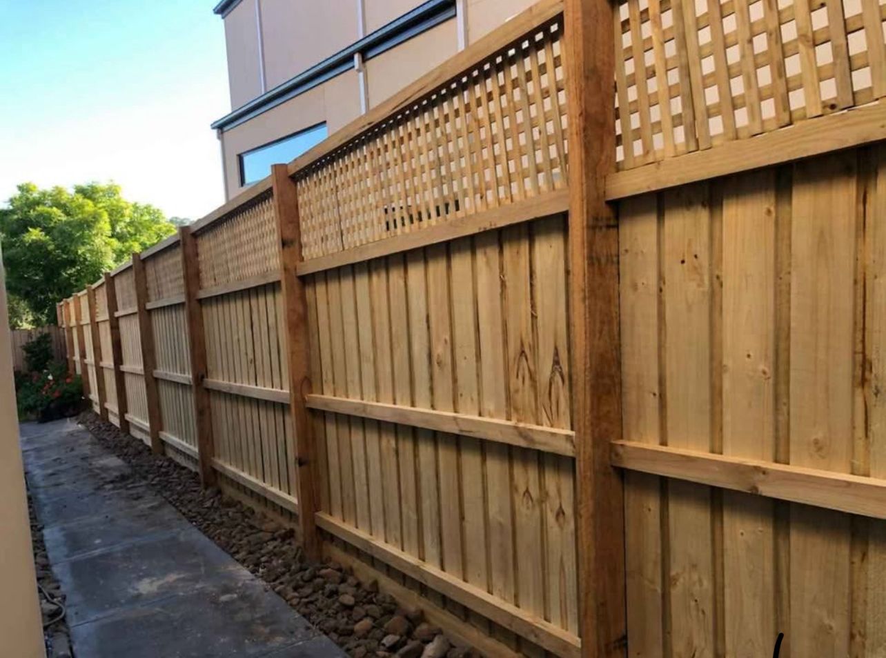 Timber paling fence
